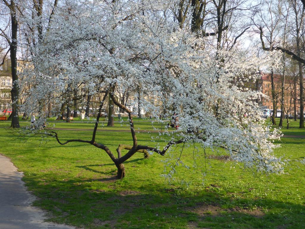 Leilighet Garden Krasków